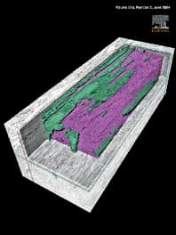 Journal of Structural Biology