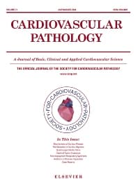 Cardiovascular Pathology