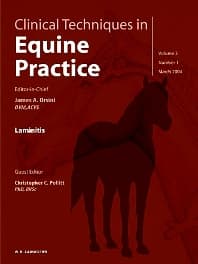 Clinical Techniques in Equine Practice