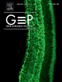 Gene Expression Patterns