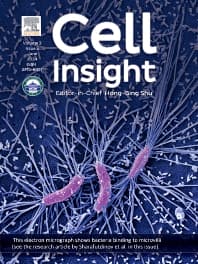 Cell Insight