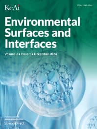 Environmental Surfaces and Interfaces