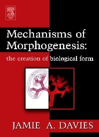 Mechanisms of Morphogenesis