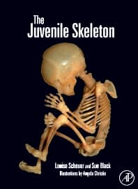 The Juvenile Skeleton