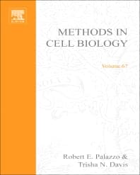 Centrosomes and Spindle Pole Bodies