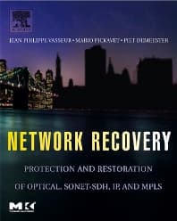 Network Recovery