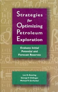 Strategies for Optimizing Petroleum Exploration: