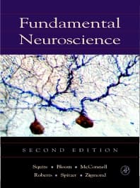 Fundamental Neuroscience