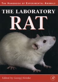 The Laboratory Rat