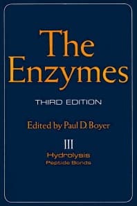 The Enzymes