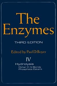 The Enzymes