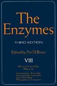 The Enzymes