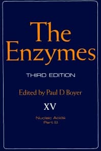 The Enzymes