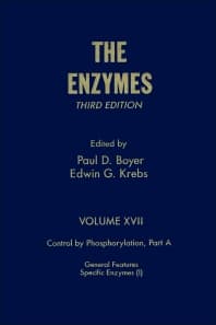 The Enzymes