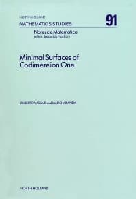 Minimal Surfaces of Codimension One