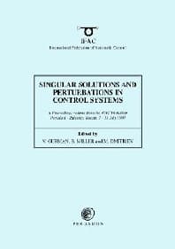 Singular Solutions and Perturbations in Control Systems