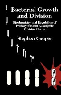 Image - Bacterial Growth and Division
