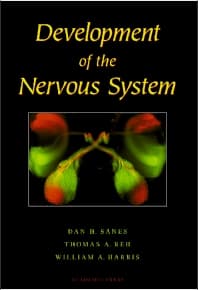 Development of the Nervous System