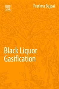 Black Liquor Gasification