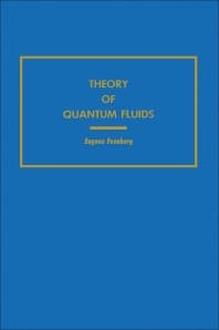 Theory of Quantum Fluids