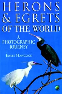 Herons and Egrets of the World