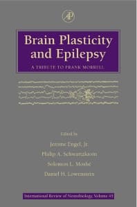 Image - Brain Plasticity and Epilepsy: A Tribute to Frank Morrell