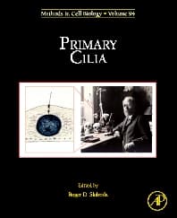 Primary Cilia