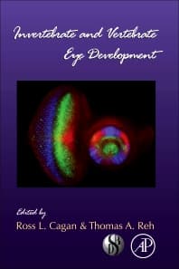 Invertebrate and Vertebrate Eye Development