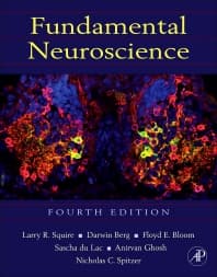 Fundamental Neuroscience