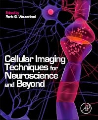 Cellular Imaging Techniques for Neuroscience and Beyond