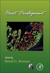 Heart Development