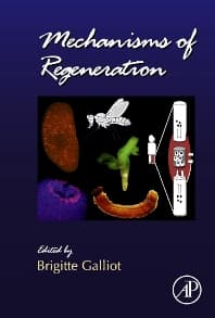 Mechanisms of Regeneration
