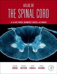 Atlas of the Spinal Cord