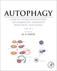 Autophagy: Cancer, Other Pathologies, Inflammation, Immunity, Infection, and Aging