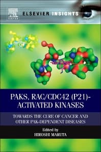 PAKs, RAC/CDC42 (p21)-activated Kinases