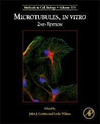 Microtubules, in vitro