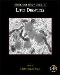 Lipid Droplets