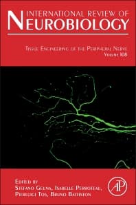 Tissue Engineering of the Peripheral Nerve