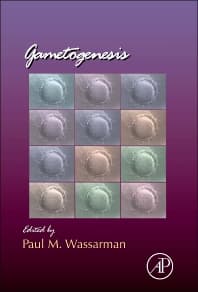 Gametogenesis