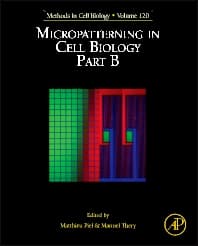 Micropatterning in Cell Biology, Part B