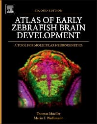 Atlas of Early Zebrafish Brain Development