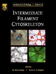 Intermediate Filament Cytoskeleton