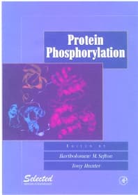 Protein Phosphorylation