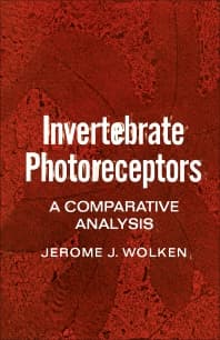 Invertebrate Photoreceptors