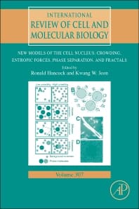 New Models of the Cell Nucleus: Crowding, Entropic Forces, Phase Separation, and Fractals