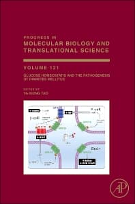 Glucose Homeostatis and the Pathogenesis of Diabetes Mellitus