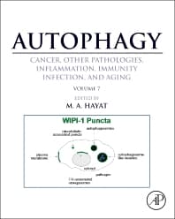 Autophagy: Cancer, Other Pathologies, Inflammation, Immunity, Infection, and Aging