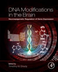 DNA Modifications in the Brain