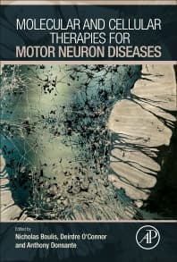 Molecular and Cellular Therapies for Motor Neuron Diseases