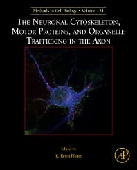 The Neuronal Cytoskeleton, Motor Proteins, and Organelle Trafficking in the Axon